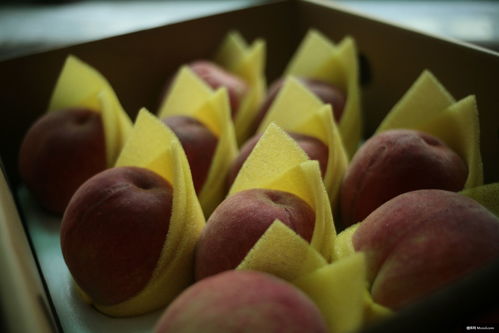 自然之禮 桃、蘋果與覆盆子的美食攝影魅力